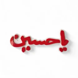 Noor-e-Hussain
